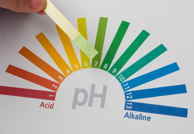 Aké je ideálne pH pre rastliny konope?
